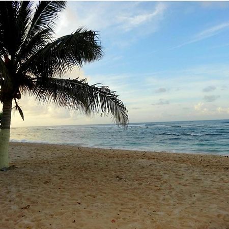 House With 3 Rooms In Anse Bertrand, With Terrace And Enclosed Garden Exterior photo